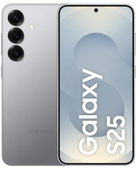 Samsung Galaxy S25 (S931) 5G DS 12/256GB Silver